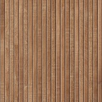 Ribbon Nut (Concept)