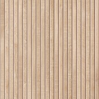 Ribbon Maple (Concept)