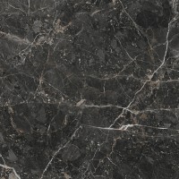 Saint Laurent Noir Starlight