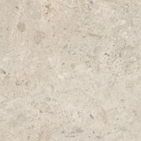 Ambrosia Sand Digital Soft