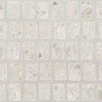 Ambrosia Concept Ice Digital Soft