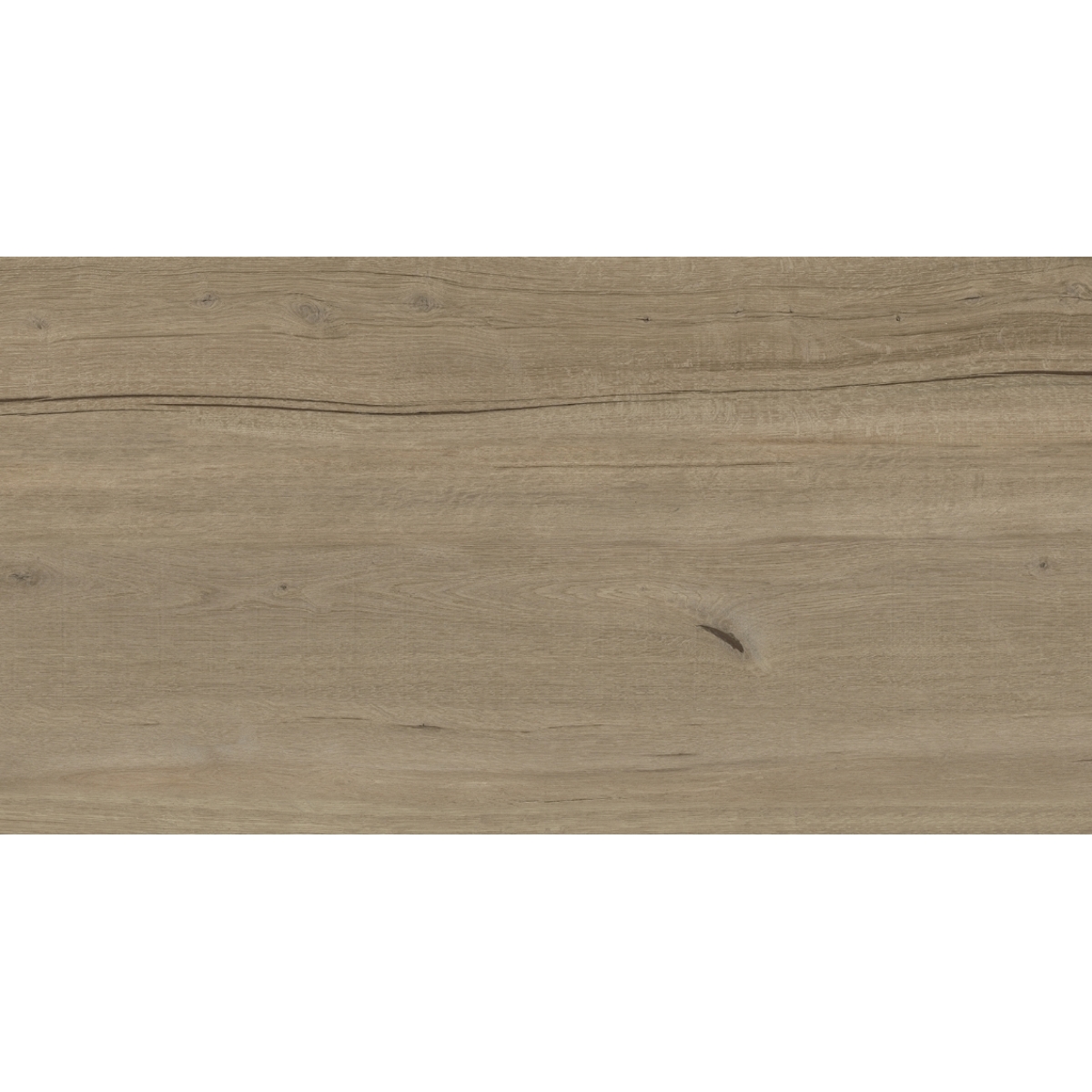 Albora Titanium